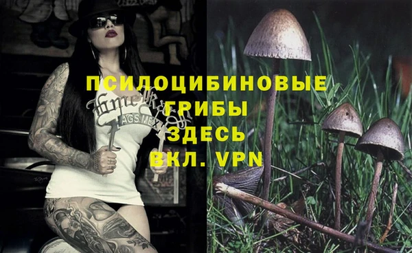 мдма Заволжск