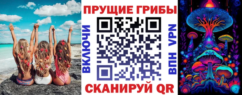 Купить где  Вязники  Галлюциногенные грибы Psilocybe 