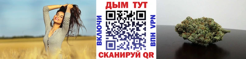 Канабис ГИДРОПОН  Купить  Вязники 